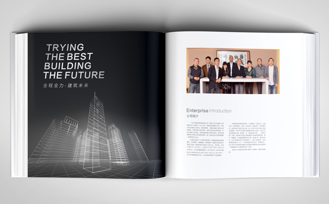 湛江設(shè)計(jì) 以專業(yè)圖文設(shè)計(jì)塑造卓越品牌形象