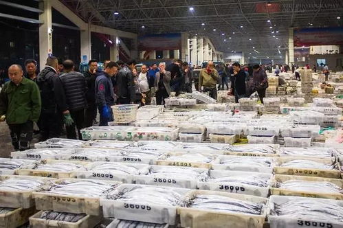 浙江水產城成功創建省食品安全規范化A級農批市場，為食用農產品批發樹立標桿