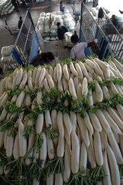 商務部 18種蔬菜平均批發價格環比下降5.9%，食用農產品市場供應穩定