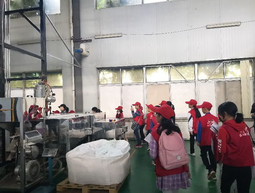 探秘環保工廠，爭當綠色先鋒——本報小記者化身環保大使走進賽高環保工廠
